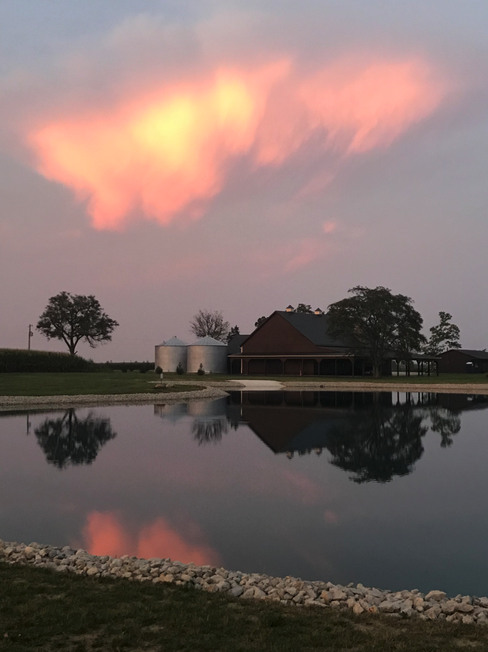 Tin Roof Events Pond